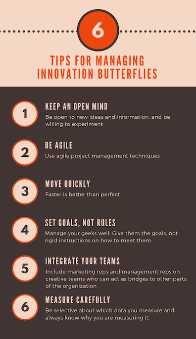 How to Manage the Innovation Butterfly how to manage the innovation butterfly img 661db0c6b5874