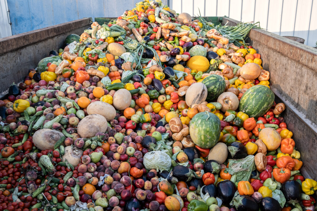 Infrastructure, Enforcement Key to Ridding Food Waste From Landfills iStock 1427644063