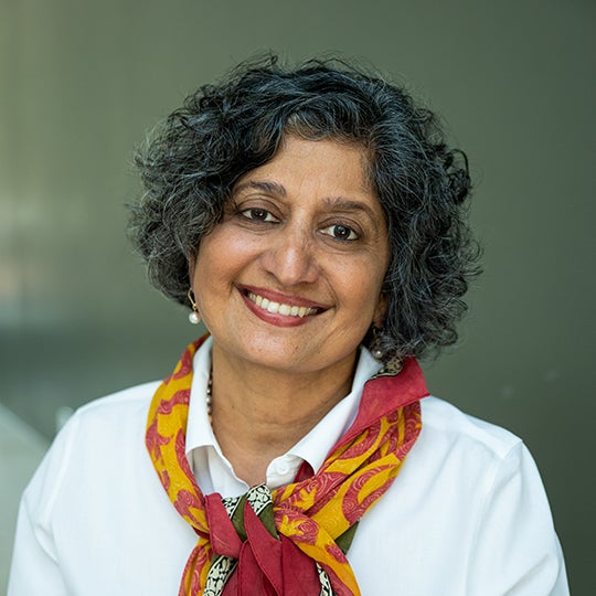 Raji Srinivasan Newsletter