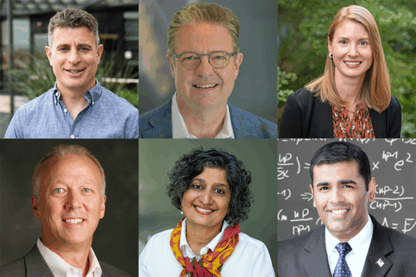 Teaching Fellows