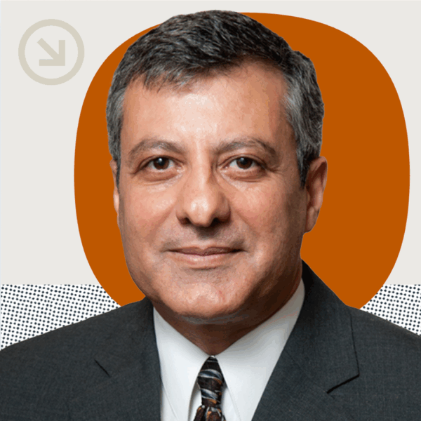 Tanriverdi Newsletter