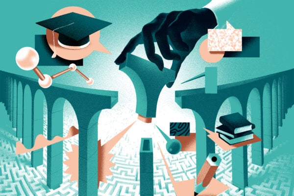 fin high res BLUE copy