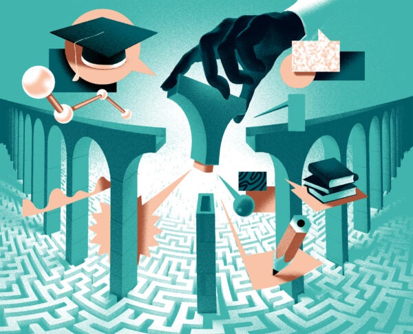 fin high res BLUE copy