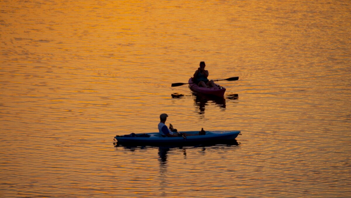 Austin Town Lake and Congress Ave. bridge 20147952