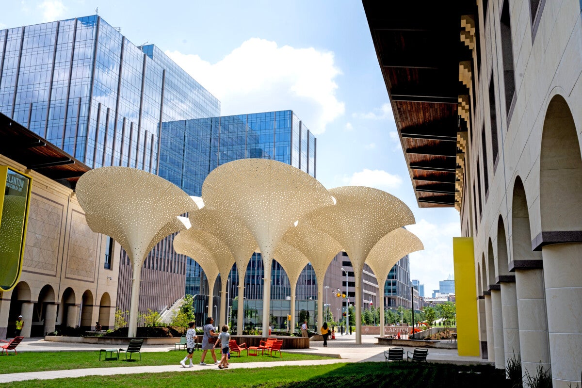 Blanton Museum of Art Petals and outdoor art installations 2023 189980