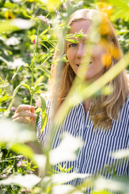 Chiles, Elizabeth Image courtesy of the artist