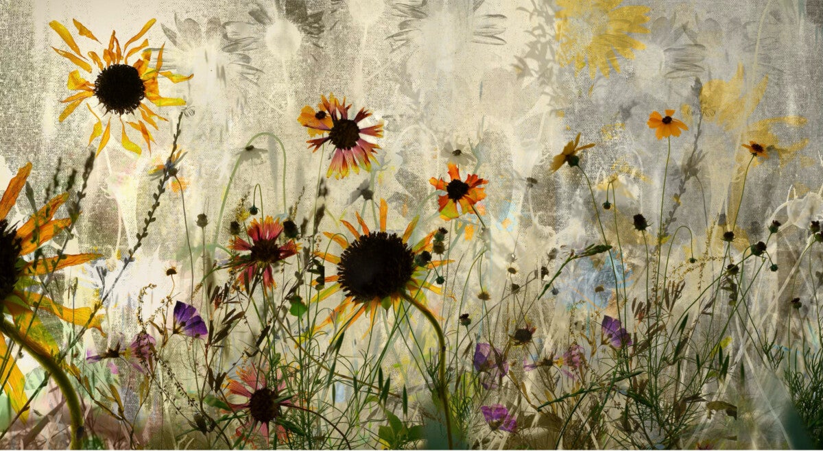 Elizabeth Chiles Bread and Roses