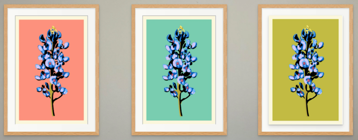 Landry McMeans Bluebonnets