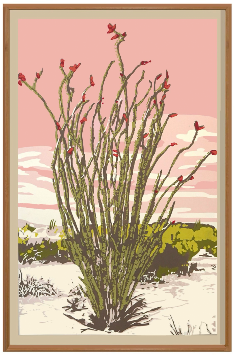 Landry McMeans Ocotillo