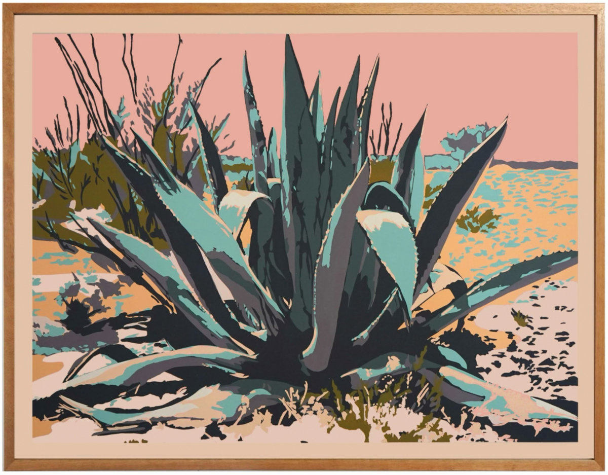 Landry McMeans Terlingua