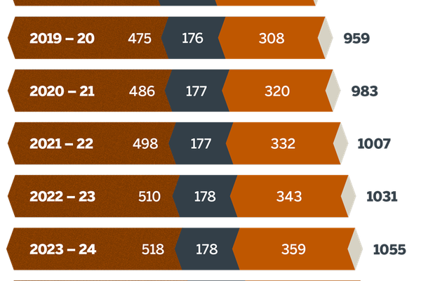 Endowment Report Number of Endowments Chart